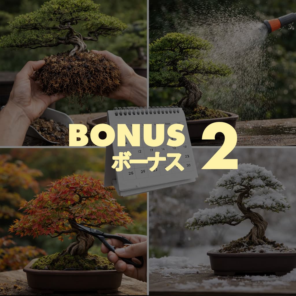 Seasonal Care Calendar