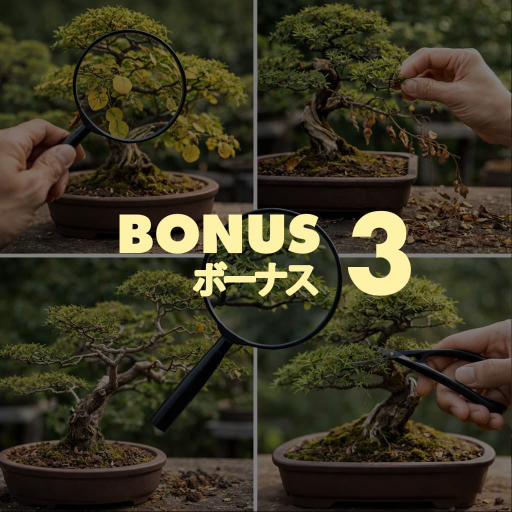 Bonsai Troubleshooting Guide